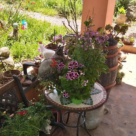 Anna Casa vacanze Flussio